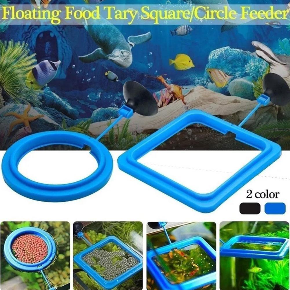 Fish Feeding Ring Feeder Fishi - Tetra Food Tropical Flakes ulasan dan harga