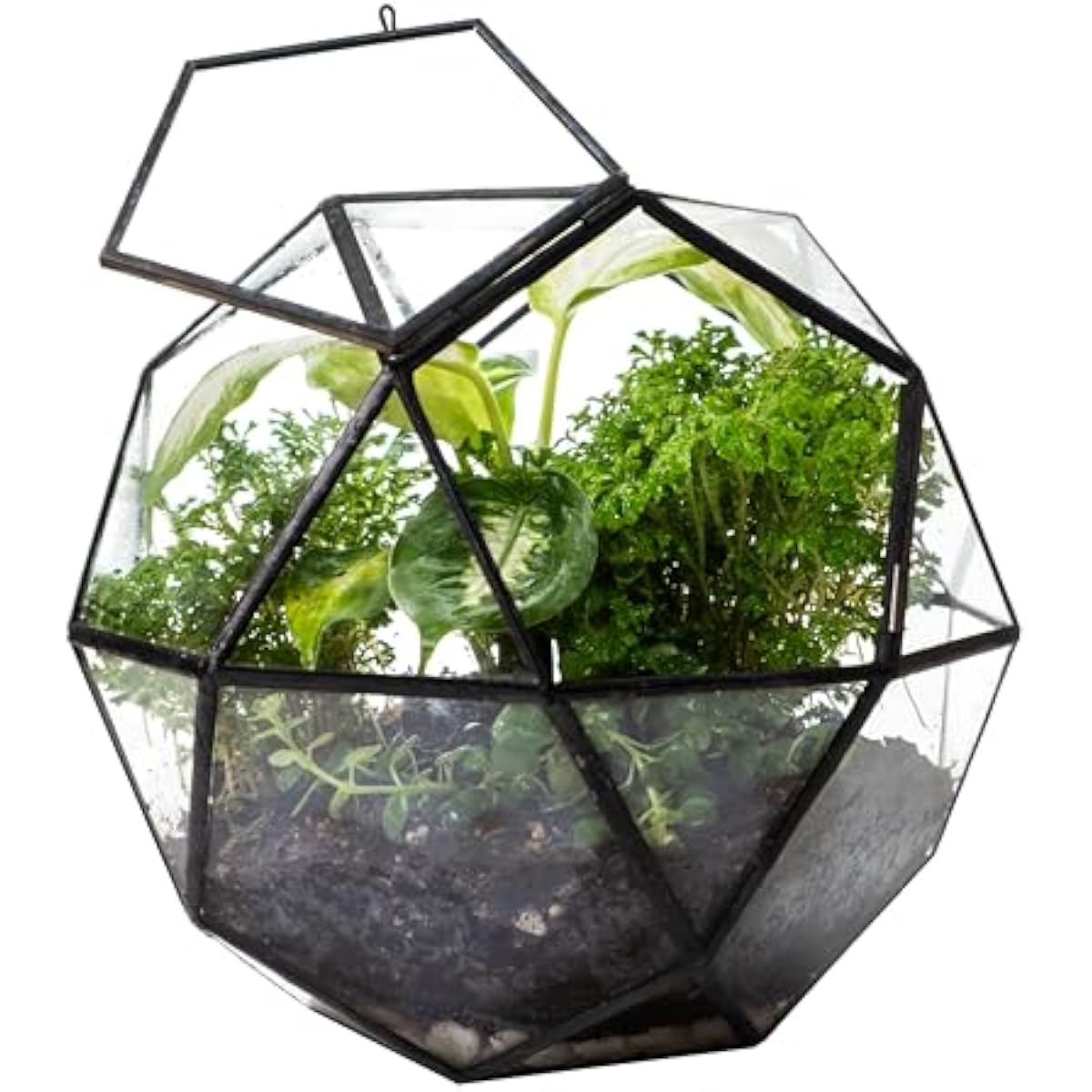 Geometric Sphere Terrarium wit - Glass Door Hinge ulasan dan harga