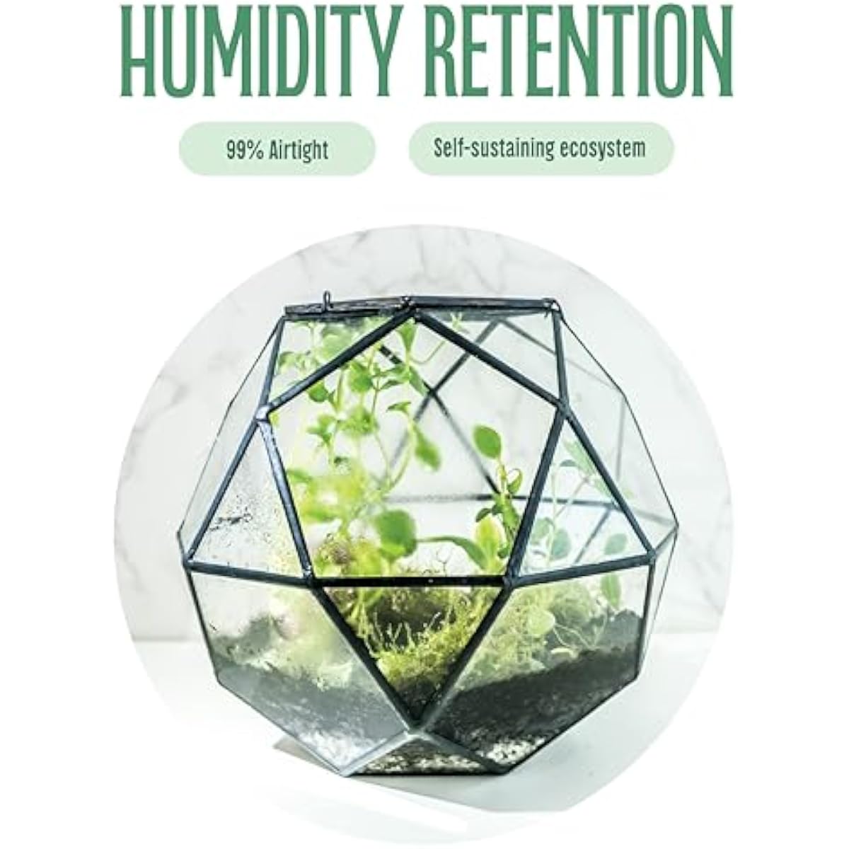 Geometric Sphere Terrarium wit - Glass Door Hinge ulasan dan harga
