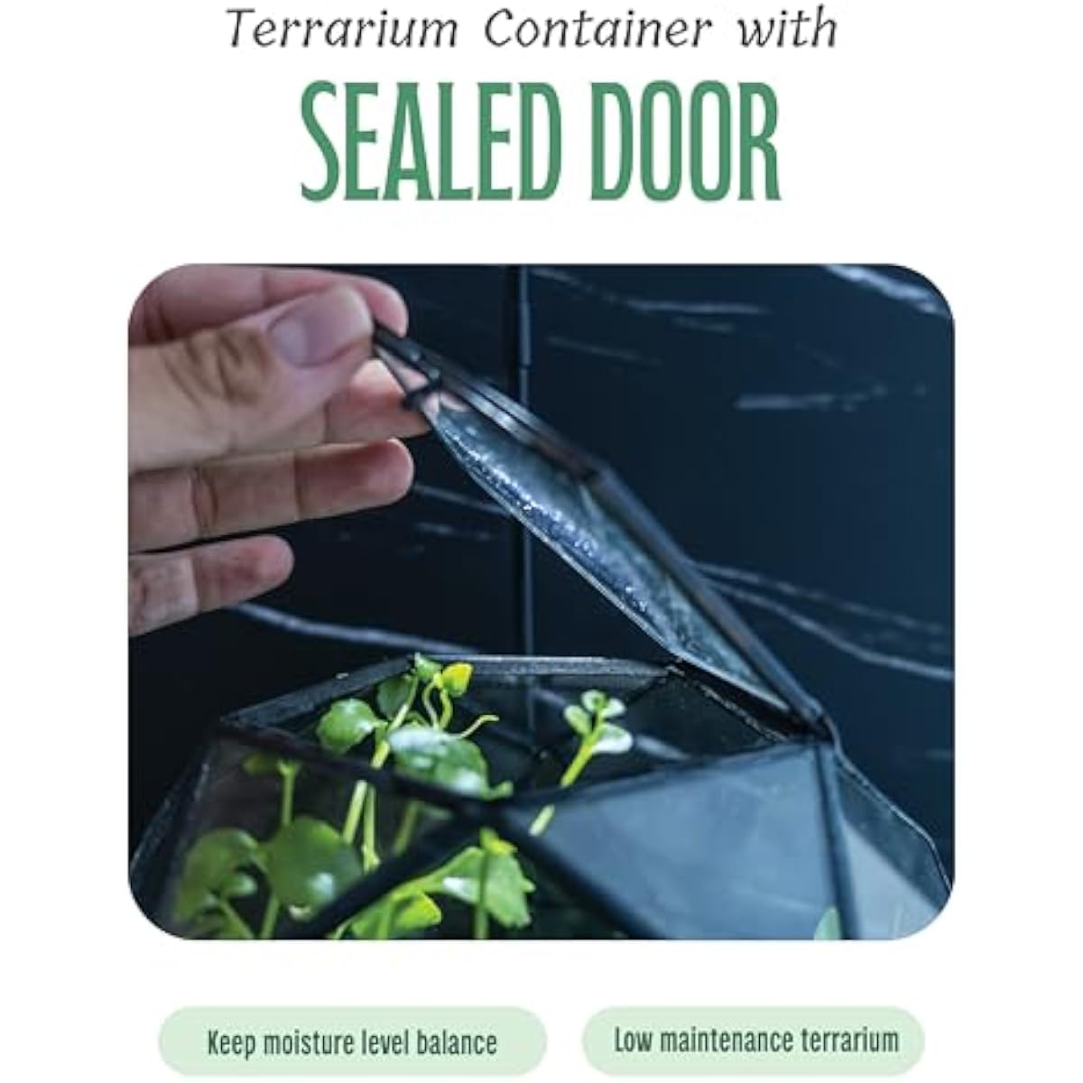 Geometric Sphere Terrarium wit - Glass Door Hinge ulasan dan harga