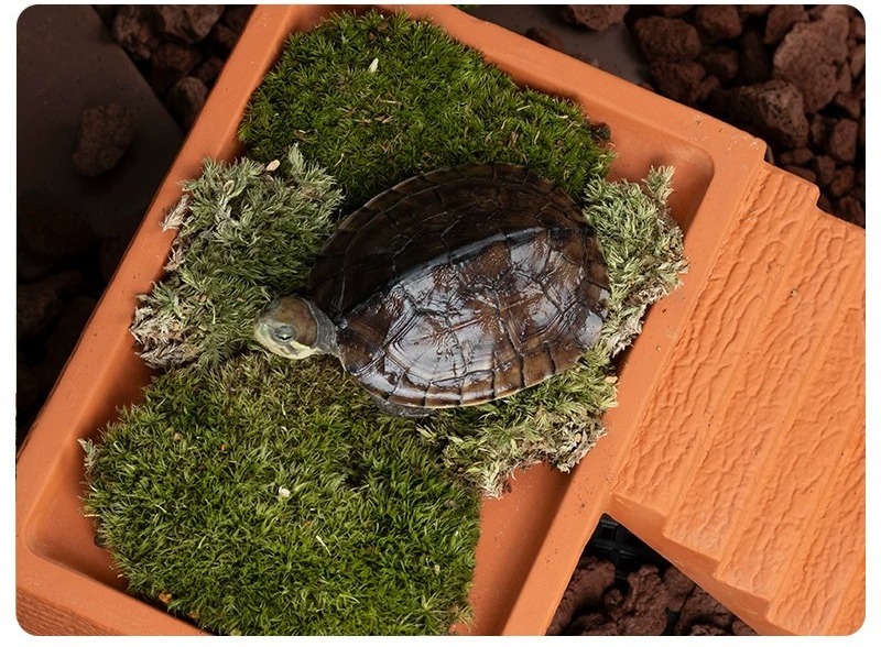 Aquarium Turtle Basking Platfo - Hide Cave Ceramic ulasan dan harga