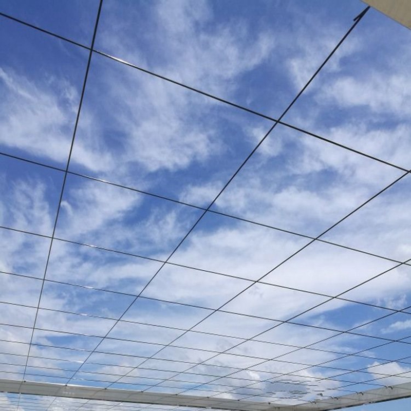 50m Plastic Steel Wire Agricul - Vine Climbing Plastic ulasan dan harga