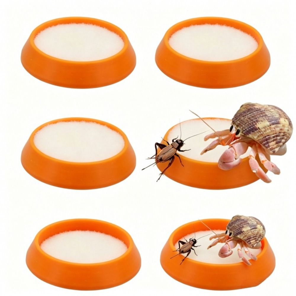 6pcs Portable Reusable Reptile - Water Dish Reptile ulasan dan harga