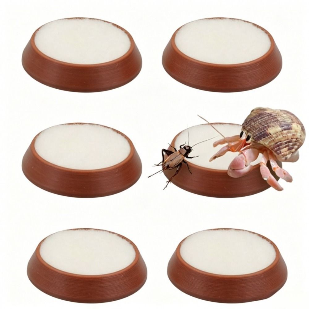 6pcs Portable Reusable Reptile - Water Dish Reptile ulasan dan harga
