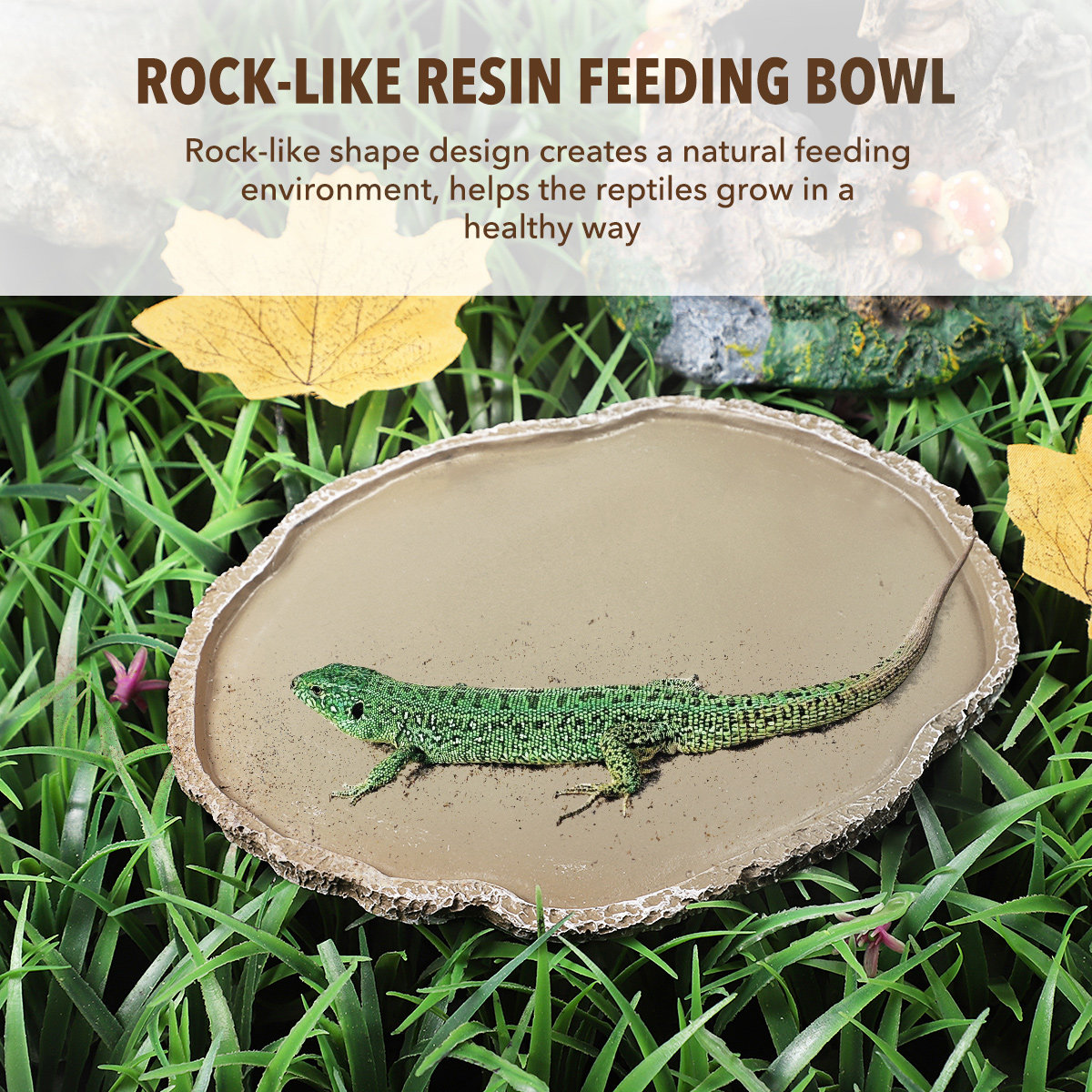 Resin Reptile Feeding Bowl Stu - Water Dish Reptile ulasan dan harga