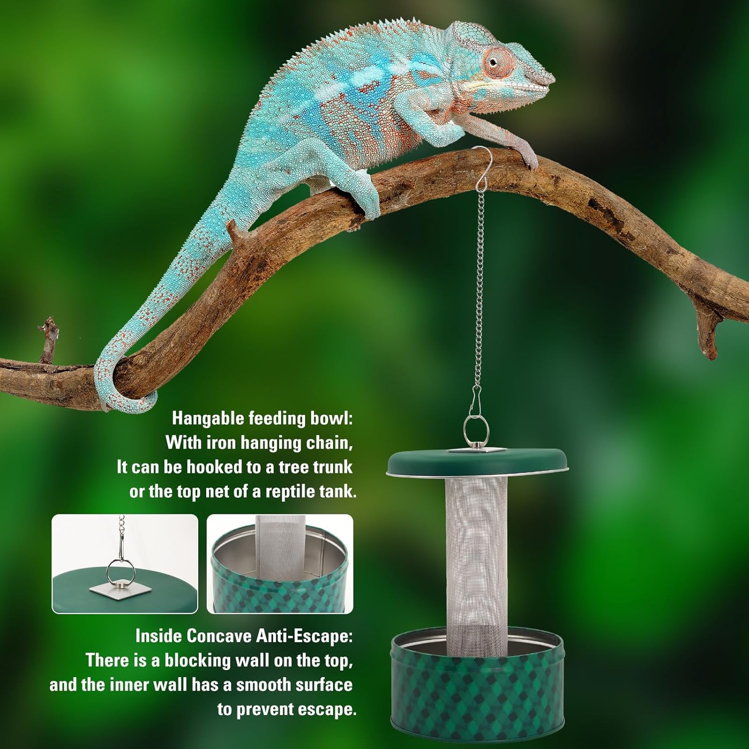 Bearded Dragon Feeder Chameleo - Water Dish Reptile ulasan dan harga