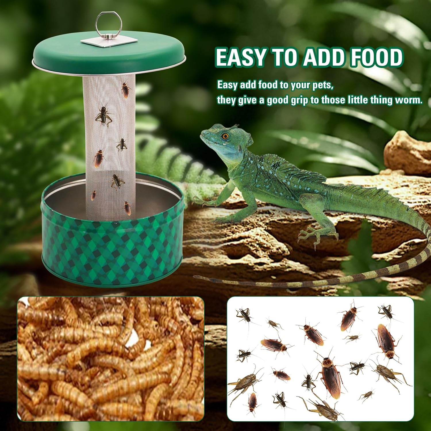 Bearded Dragon Feeder Chameleo - Water Dish Reptile ulasan dan harga