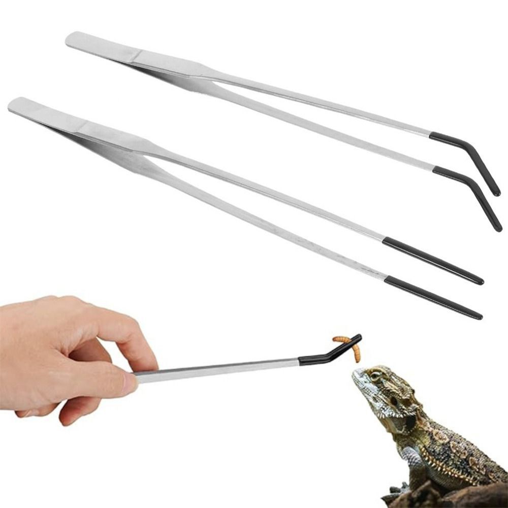 2Pcs Stainless Steel Aquarium  - Feeding Tong Stainless ulasan dan harga