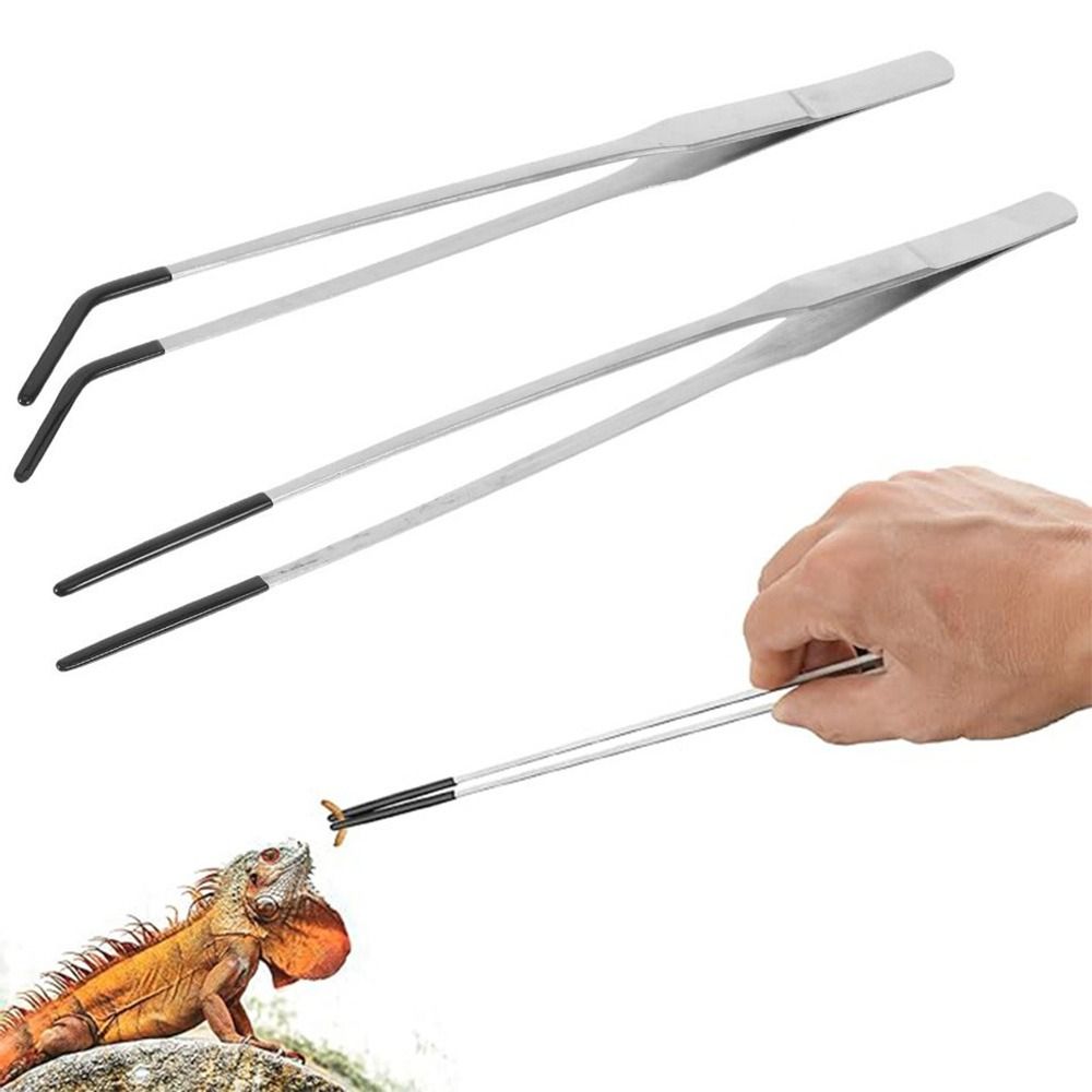 2Pcs Stainless Steel Aquarium  - Feeding Tong Stainless ulasan dan harga