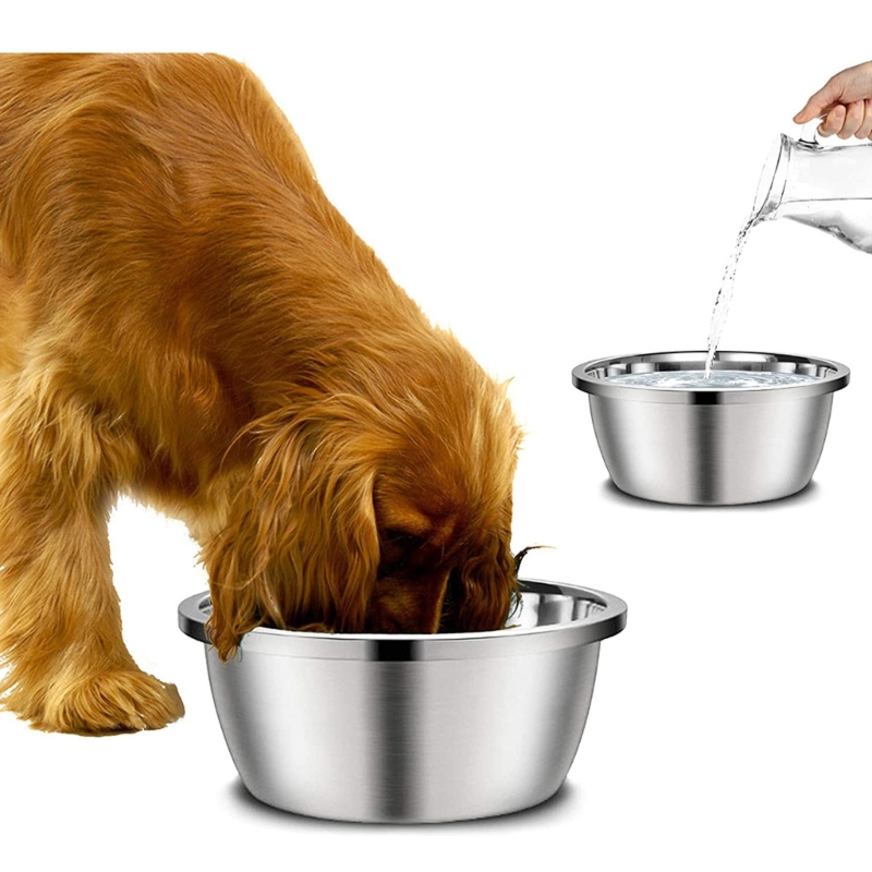 Stainless Steel Dog Feeders 20 - Royal Canin Food Medium ulasan dan harga